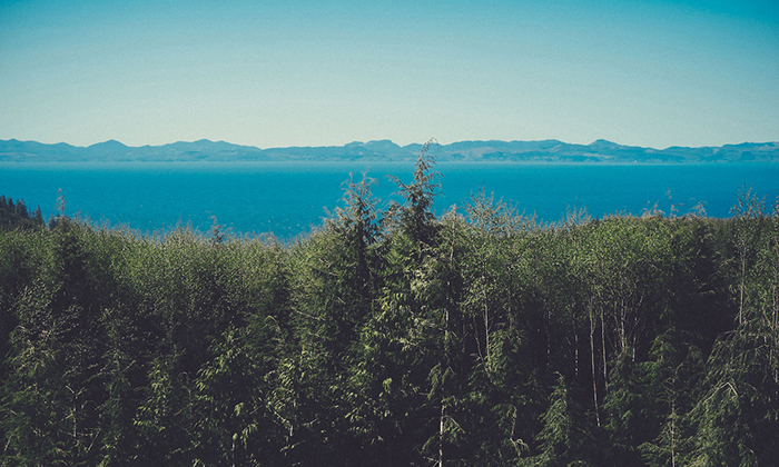 数据加密的免费攻击网站