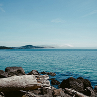 【最新版2024】完全免费的免费攻击网站