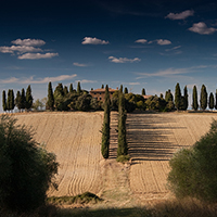 令人向往的网页攻击平台